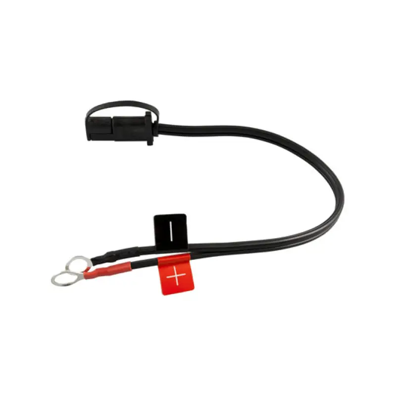 Foto 1: Carica Batteria e Mantenitore di Carica