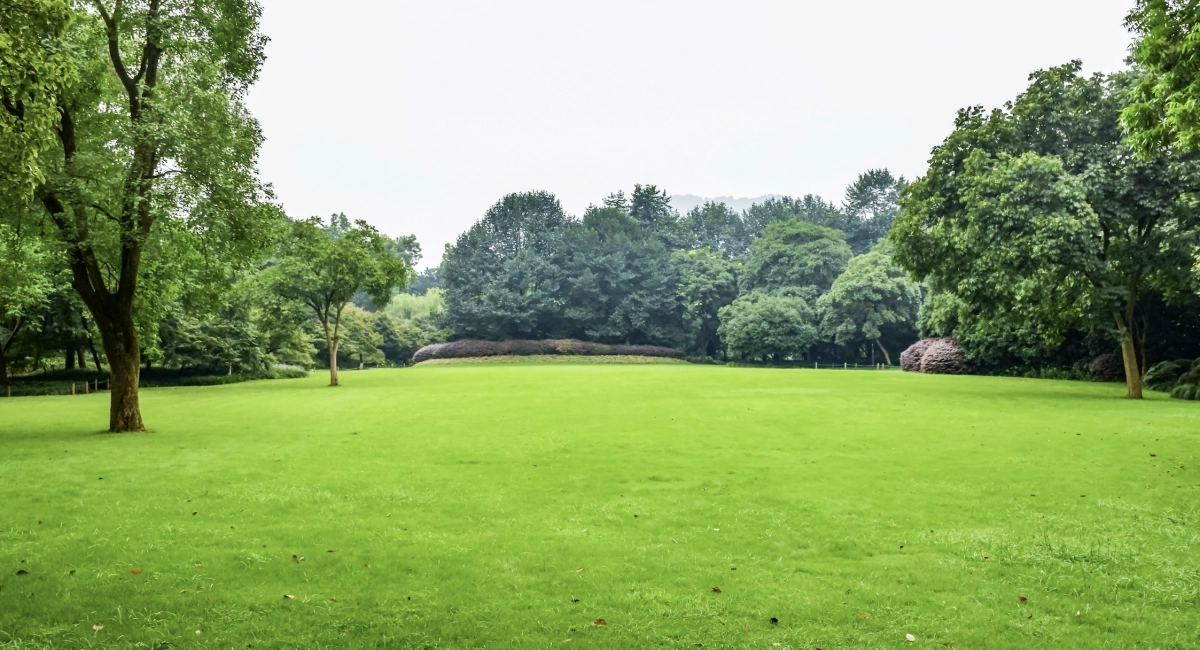 slide desktop Prenditi cura del tuo giardino